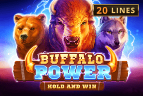 Buffalo Power Hold & Win