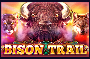 Bison Trail